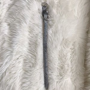 Genuine Stingray Luxury Dog Collar